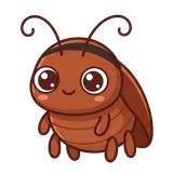 שירותי הדברה וריסוס ג'וקים